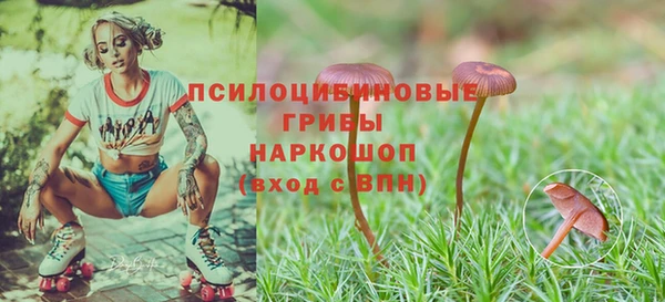 а пвп мука Белокуриха