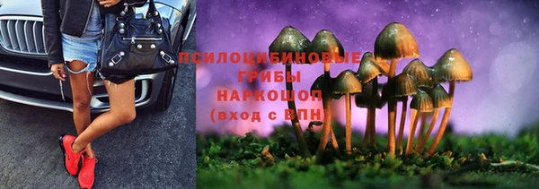 а пвп мука Белокуриха